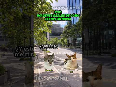 Mi NOVIO es BELLISIMA #storytime #funny