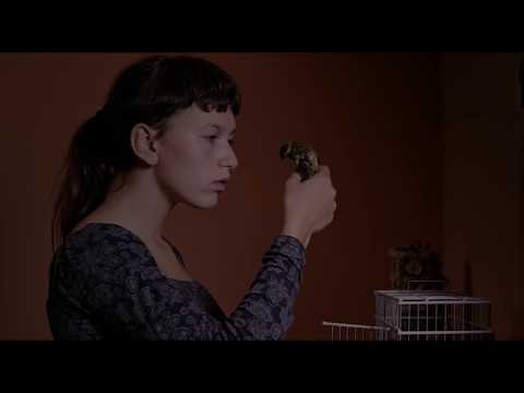 CONTRE TON COEUR - Bande Annonce VOST