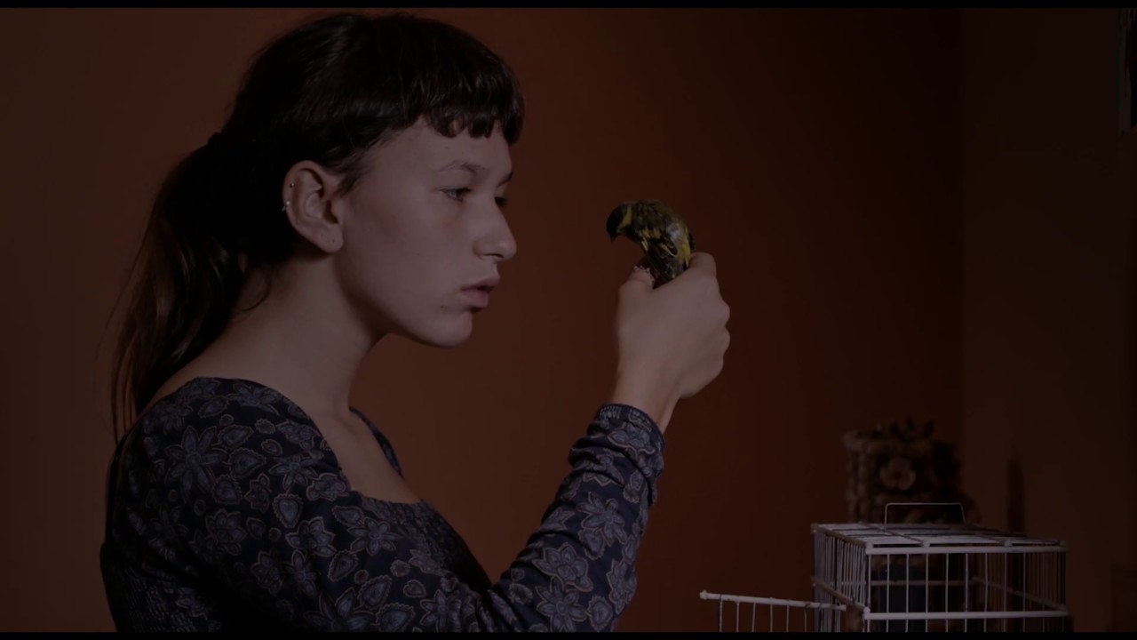 Miniature de la vidéo CONTRE TON COEUR - Bande Annonce VOST du film Contre ton cœur