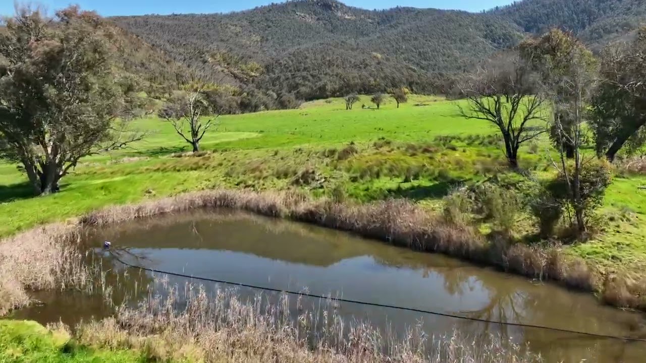 Over The Creek , Corryong, VIC, 3707 Sold Elders Real Estate