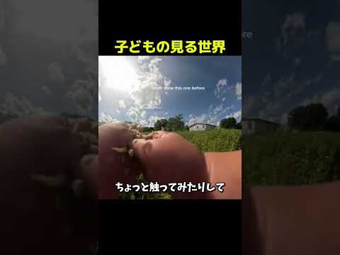 子どもの見る世界