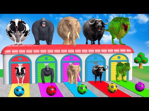 Long Slide Game With Cow Elephant Gorilla Hippopotamus Tiger - 3d Animal Game - Funny 3d Animals