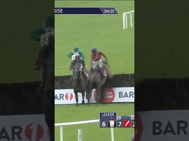 Thumbnail for Post ID: 3rqjphJ-5vw