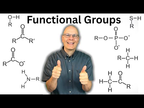 Functional Groups Explained so AP Bio Students can Understand!