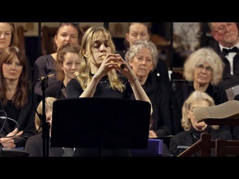 Johann David Heinichen: Concerto in A minor