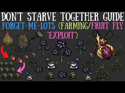 Don't Starve Together Guide: Forget-Me-Lots (Farming & Fruit Fly "Exploit")