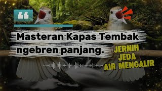 Download lagu MASTERAN KAPAS TEMBAK NGEBREN PANJANG, JERNIH, JEDA DAN GEMERCIK AIR MENGALIR  mp3