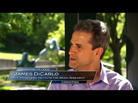 79th Symposium - Cognition - DiCarlo