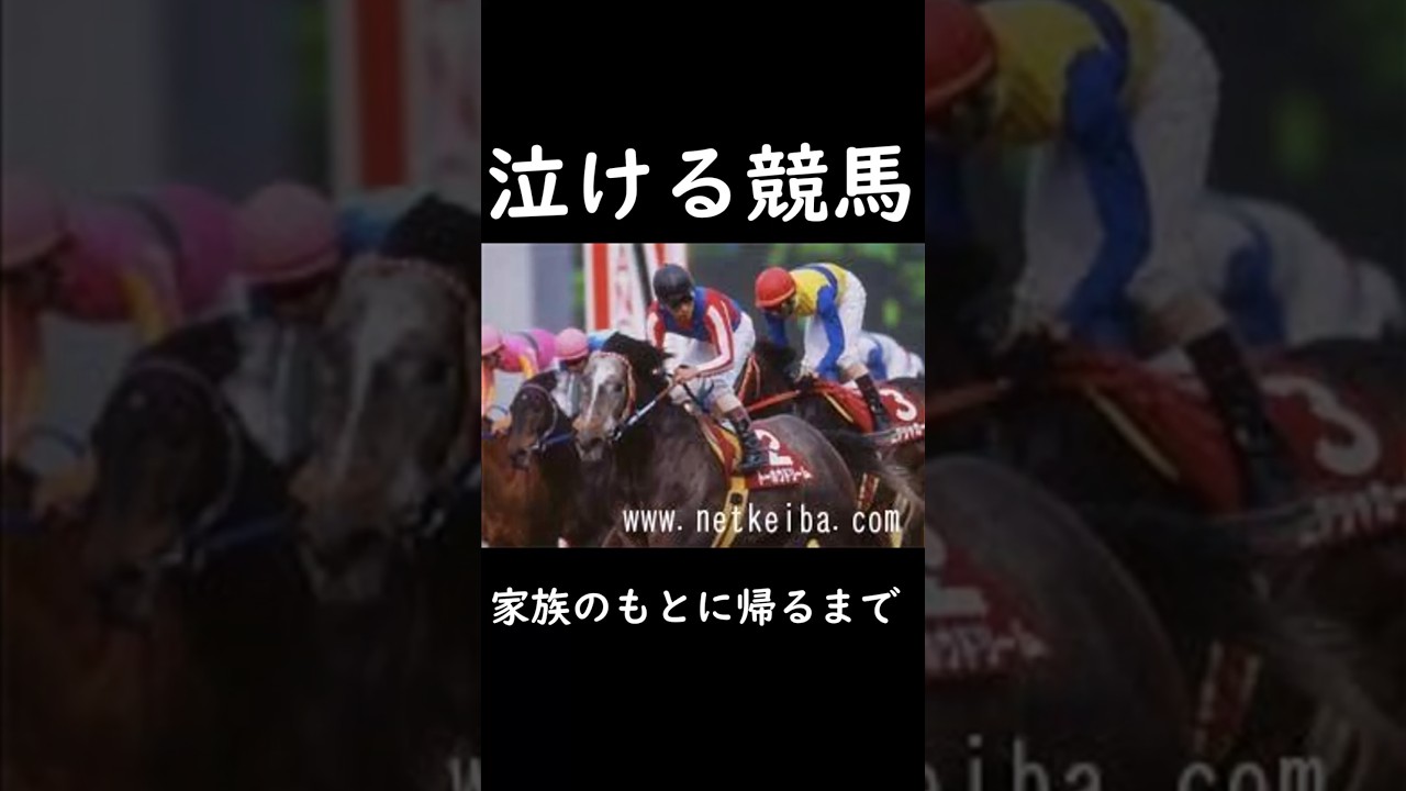 【泣ける競馬】家族のもとに帰るまで【ゆっくり解説】#shorts #競馬 #大阪杯