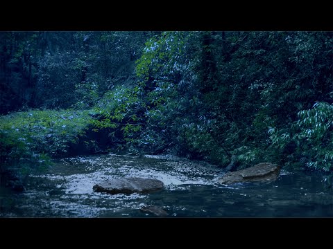 Sleep Soundly with Nighttime River Ambience | Relaxing Water White Noise