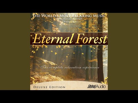 Eternal Forest