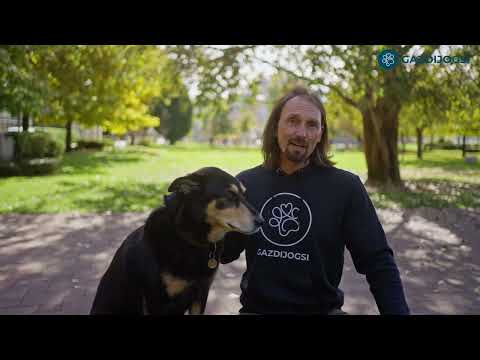 Félős kutyák kezelése - Alex, a Gazdijogsi trénere segítségével