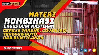 Download lagu Suara Burung Cendet Materi Kombinasi Tengkek Buto Kunti Gereja Tarung dan Lovebird Ngekek Panjang mp3