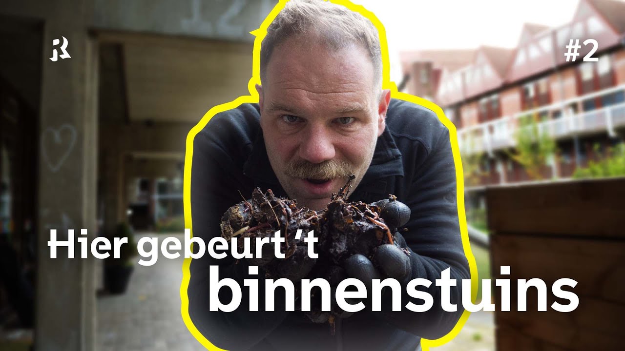 Hier gebeurt ’t binnenstuins – Van grauw naar samen groen doen | #Ons010