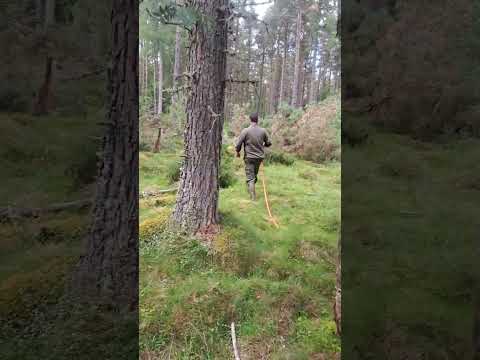 Aksa and Euan completing 21hr old training track