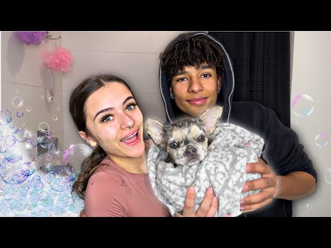 OUR PUPPY’S FIRST BATH !!