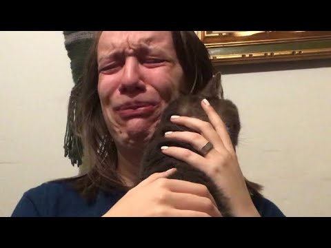 Cat comforting crying owner will make you sob