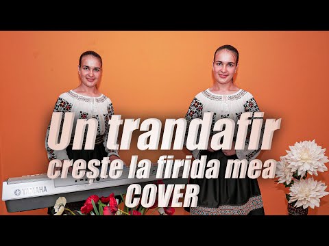 Adelina Loghin - Un trandafir crește la firida mea (cover)