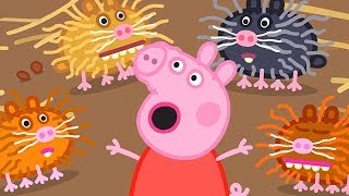 Peppa Pig en Español Episodios  Criaturas Pequeñ