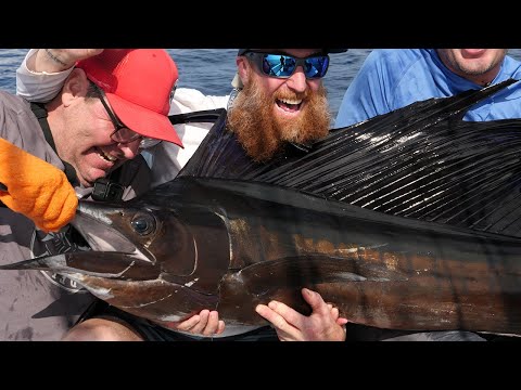 Roadfish - Saison 3 - Épisode 1 - Espadons voiliers au Costa Rica