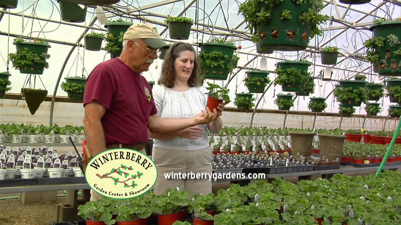 Winterberry Gardens :30 TV Commercial