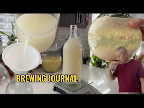 Sweet Fermented Rice to Rice Wine ：A Homemade Brewing Journey