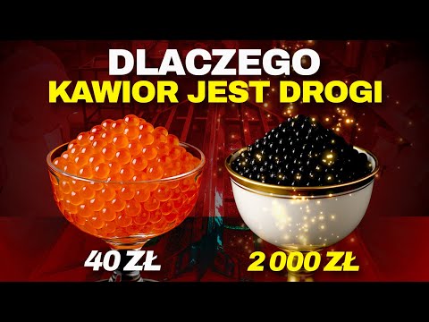 Why is CAVIAR so EXPENSIVE?