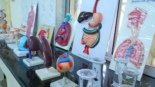 Hal New Public School Video