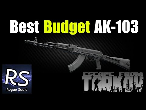 Best Budget AK 103 Guide - Escape From Tarkov