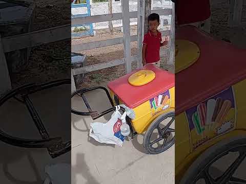 feira de animais de Lagoa Nova RN #caminhoparaumavidamelhor #viralvideo