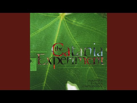 Ballad of the Dreamer