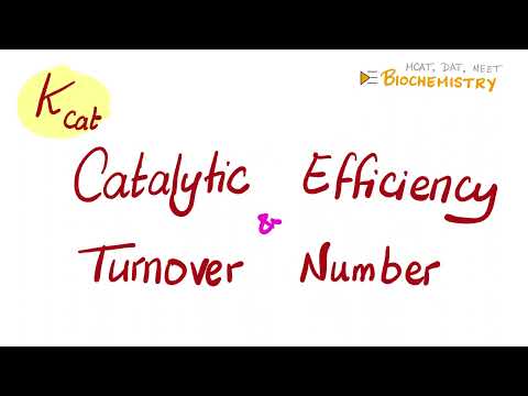 K.Cat. Turnover Number, Catalytic Efficiency (Enzyme Kinetics) - Biochemistry 🧪