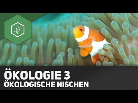 Environmental Factors and Ecological Niches - Ecology 3