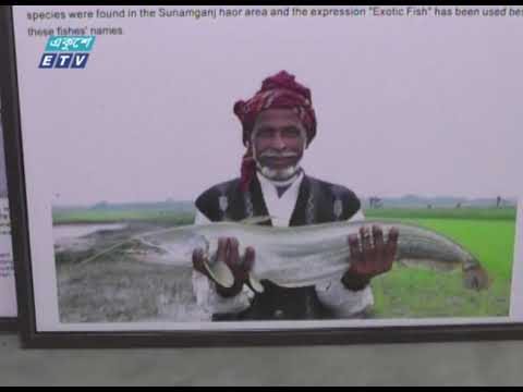 কুয়াকাটায় সমুদ্র জাদুঘর, মুগ্ধ পর্যটকরা || ETV News