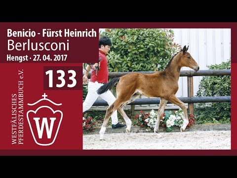 133 Berlusconi  Hengst v. Benicio - FürstHeinrich