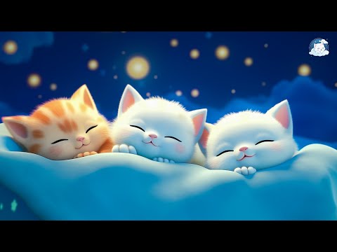 FALL ASLEEP QUICKLY 💤 Eliminate stress, increase deep sleep