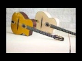Tchavolo Schmitt & mandino reinhardt Valse a Dora
