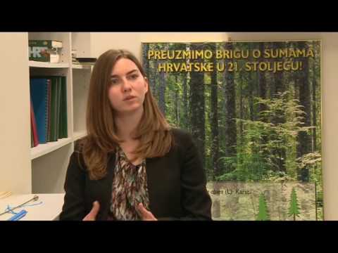 Treći element S04E21 - Šumski svijet