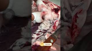 Download lagu ep 15k792 mp3 Download lagu ep 15k792 mp3