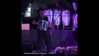 remmy valenzuela la media vuelta primavera