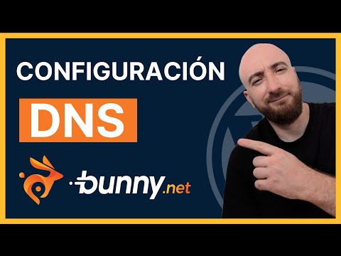 Is your website slow? Try changing your DNS | bunny.net DNS Settings