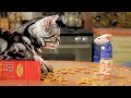 The Mouse With A Cat Stuart Little Michael J Fox