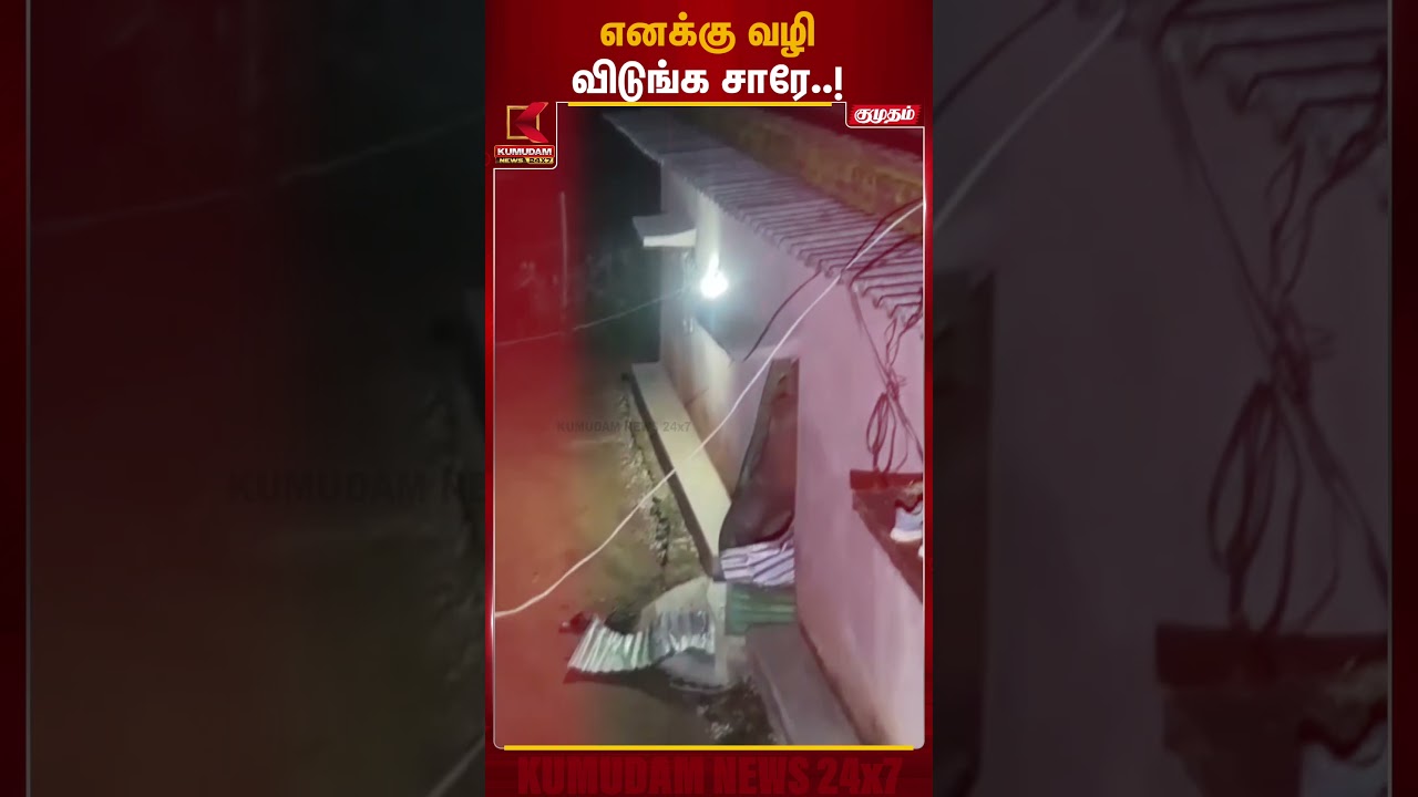 கிராம வீட்டில் அட்டகாசம் செய்த காட்டு யானை! வைரலாகும் காட்சி | Odisha Elephant Enters House கிராம வீட்டில் அட்டகாசம் செய்த காட்டு யானை! வைரலாகும் காட்சி | Odisha Elephant Enters House