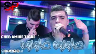 Cheb amine tigre feat manini solazur عاونوه عاونوه 2025