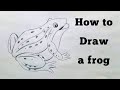How to draw a frog | Pencil drawing