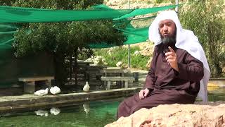 صورة بستان الذاكرين -  الحلقة (4) الحياة الحقيقة