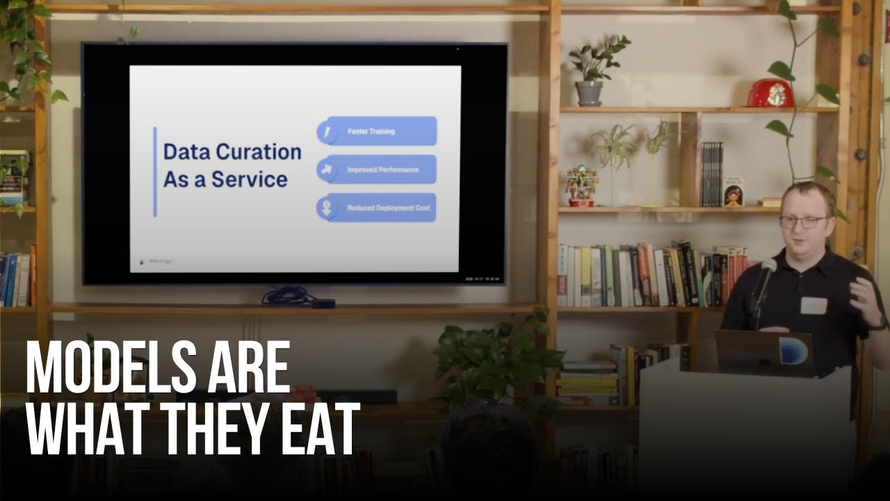 DatologyAI - Data curation as a service