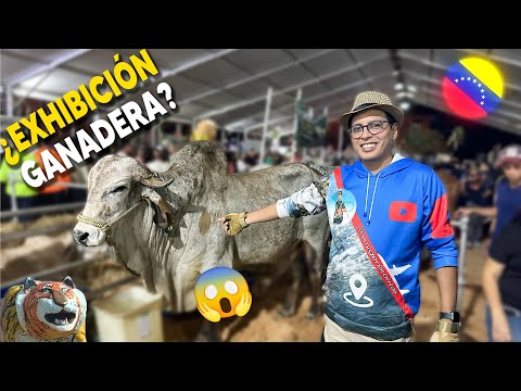 ¿Descubre por qué miles visitan Esta FERIA AGROTURÍSTICA🎪🐮 ? Anzoátegui 2025 en el Tigre