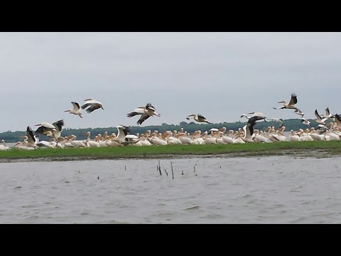 Delta Dunarii ...o aventura frumoasa