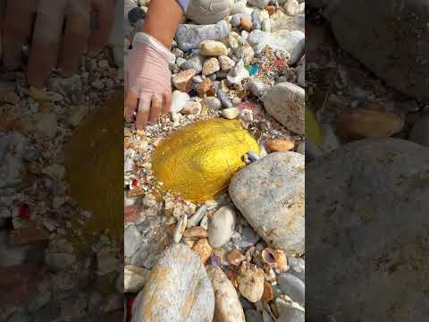 Sea Agate and Sea Crystal: Finding Hidden Treasures on the Shore and rare pearl